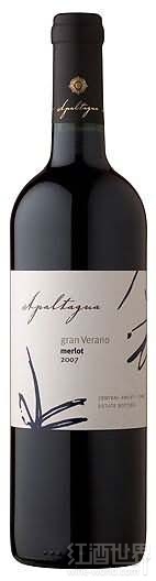 apaltagua gran verano merlot, central valley, chile