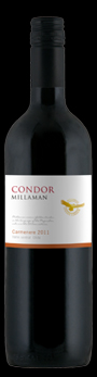 2010millamancondorcarmenerecentralvalleychile