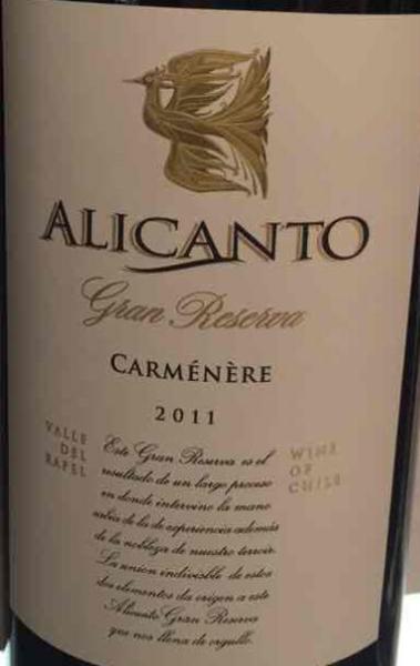 alicanto gran reserve carmenere, rapel valley, chile