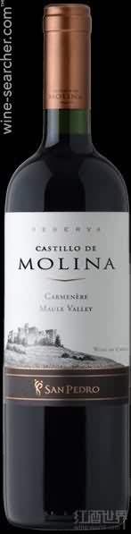 san pedro castillo de molina reserva carmenere, maule valley