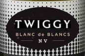 伍德索克酒莊崔姬白中白起泡酒(Woodstock Twiggy Blanc de Blancs, Limestone Coast, Australia)