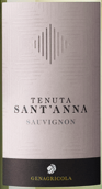 圣安娜酒莊長相思白葡萄酒(Tenuta S. Anna Sauvignon Blanc, Veneto, Italy)