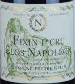 杰琳酒莊拿破侖（菲克桑一級(jí)園）紅葡萄酒(Domaine Pierre Gelin Clos Napoleon Monopole, Fixin 1er Cru, France)