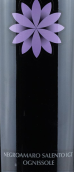 福地酒莊歐格尼索黑曼羅紅葡萄酒(Feudi di San Gregorio Ognissole Negroamaro, Puglia, Italy)