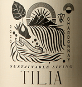 蒂利亞霞多麗白葡萄酒(Tilia Chardonnay, Mendoza, Argentina)