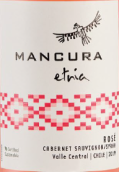 安第斯神鷹家族赤霞珠西拉桃紅葡萄酒(Mancura Etnia Rose Cabernet - Sauvignon Syrah, Central Valley, Chile)