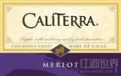 圣地酒莊梅洛紅葡萄酒(Caliterra Merlot, Colchagua Valley, Chile)