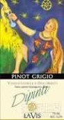 拉維斯代菲緹灰皮諾干白葡萄酒(La Vis Dipinti Pinot Grigio Vigneto delle Dolomiti, Trentino Alto Adige, Italy)