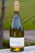 美莎拉奧特斯白皮諾白葡萄酒(Maysara Winery Autees Pinot Blanc, McMinnville, USA)