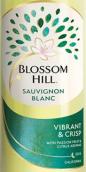 花山長相思干白葡萄酒(Blossom Hill Sauvignon Blanc, California, USA)