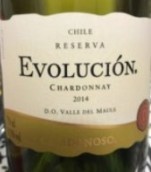 卡薩多諾索演化珍藏霞多麗白葡萄酒(Casa Donoso Evolucion Reserva Chardonnay, Maule Valley, Chile)