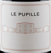普碧勒酒庄普碧勒西拉红葡萄酒(Fattoria Le Pupille Le Pupille Syrah Toscana IGT, Tuscany, Italy)