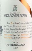 Selvapiana Pomino