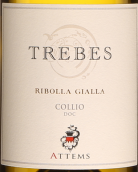 艾登斯酒庄特雷布丽波拉白葡萄酒(Attems Trebes Ribolla Gialla Collio, Friuli-Venezia Giulia, Italy)