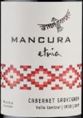 安第斯神鷹家族赤霞珠紅葡萄酒(Mancura 'Etnia' Cabernet Sauvignon, Central Valley, Chile)