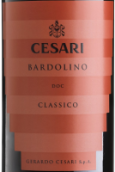紫色里尼经典红葡萄酒（巴多力诺）(Cesari Classico, Bardolino, Italy)