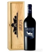 Bodegas Irius Absum Coleccion Merlot, Somontano, Spain