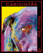 博愛酒莊流行貴賓犬甜紅葡萄酒(Carivintas Winery Poodle Pop, Santa Barbara, USA)