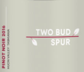 双芽酒庄黑皮诺红葡萄酒(Two Bud Spur Pinot Noir, Tasmania, Australia)