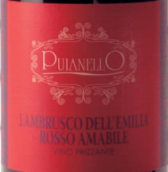 普亞萊洛藍布魯斯科半甜紅葡萄酒(Cantina Puianello Lambrusco dell'Emilia Rosso Amabile, Emilia-Romagna, Italy)