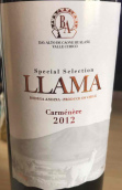 安迪娜酒莊特選勒拉瑪佳美娜紅葡萄酒(Bodega Andina Special Selection Llama Carmenere, Curico Valley, Chille)