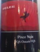 皮利島酒莊黑皮諾干紅葡萄酒(Pelee Island Winery Pinot Noir, Ontario, Canada)