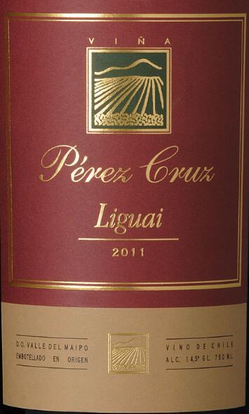 perezcruzliguaimaipovalleychile