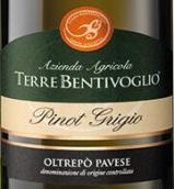 本蒂沃格里奥酒庄灰皮诺白葡萄酒(Terre Bentivoglio Pinot Grigio, Oltrepo Pavese, Italy)