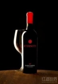 克洛東永恒赤霞珠干紅葡萄酒(Clark-Claudon Vineyards Eternity Cabernet Sauvignon, Howell Mountain, USA)