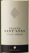 圣安娜酒莊灰皮諾白葡萄酒(Tenuta S. Anna Pinot Grigio, Veneto, Italy)