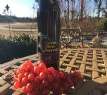彎柏瑪斯克汀貴腐甜紅葡萄酒(Cypress Bend Vineyards Noble, North Carolina, USA)