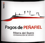 安东尼奥波罗佩纳菲尔红葡萄酒(Hijos de Antonio Polo Tinto Pagos de Penafiel Joven, Ribera del Duero, Spain)