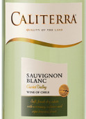 圣地長(zhǎng)相思干白葡萄酒(Caliterra Sauvignon Blanc, Central Valley, Chile)