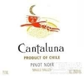 肯塔盧娜黑皮諾干紅葡萄酒（莫萊谷）(Vina Cantaluna Pinot Noir, Maule Valley, Chile)