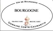 寇斯特·特馬丹酒莊港口路（玻瑪村）紅葡萄酒(Domaine Coste-Caumartin La Rue Au Port, Pommard, France)