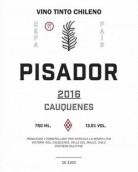 皮薩多紅葡萄酒(Pisador Vino Tinto, Maule Valley, Chile)