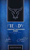 菲亞迪酒莊赤霞珠西拉混釀紅葡萄酒(Fieady Souvenir Cabernet Sauvignon - Syrah, Maule Valley, Chile)