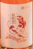 龍亭酒莊醉桃春桃紅葡萄酒(Longting Spring Rose Wine, Penglai, China)