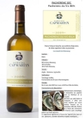 卡帕亭酒莊干白葡萄酒(Domaine Capmartin Blanc Sec, Pacherenc du Vic-Bilh, France)