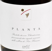 特西克马蒂亚兹白葡萄酒(Tercic Matijaz Planta Collio, Friuli-Venezia Giulia, Italy)