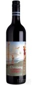 Cumulus Wines Climbing Cabernet Sauvignon, Orange, Australia