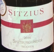 西茨烏斯酒莊黑皮諾紅葡萄酒(Sitzius Spatburgunder Trocken, Nahe, Germany)