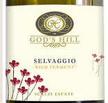 神之山野生發(fā)酵霞多麗干白葡萄酒(God's Hill Selvaggio Wild Ferment Chardonnay, Barossa Valley, Australia)