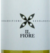 百莱达酒庄伊尔菲奥雷塞拉德菲奥利白葡萄酒(Giacomo Bologna Braida Il Fiore Serra dei Fiori Langhe Bianco, Piedmont, Italy)