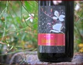 印第安溪西拉干紅葡萄酒(Indian Creek Winery Syrah, Snake River, USA)