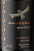 安第斯神鷹守護(hù)神佳麗釀紅葡萄酒(Mancura Guardian Reserva Carignan, Maule Valley, Chile)