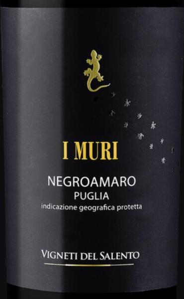 vigneti del salento i muri negroamaro, puglia, italy