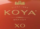 可雅白兰地桶藏15年XO(Koya XO Brandy Barrel Aging 15 Years, Yantai, China)