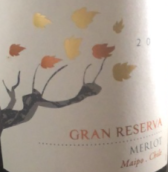 蘇熱斯特萬托特級珍藏梅洛紅葡萄酒(Sureste Vento Gran Reserva Merlot, Maipo Valley, Chile)