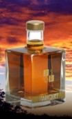 塔?？说渖蠽SOP白蘭地(Domaine du Tariquet Carrement VSOP decanter, Armagnac, France)